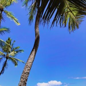 Meet your Posher, Nikki